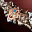 Foundation Dynasty Bow