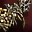 Event - Shyeed's Bow