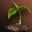Ancient Herb - Slayer