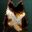 Eagle Cloak