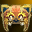 Tiger Hat