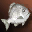 Small White Fat Fish - For Beginners