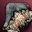 Recipe - Dynasty Bow (100%)