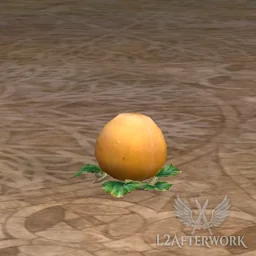 Young Squash