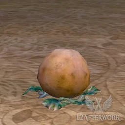 Low Quality Squash