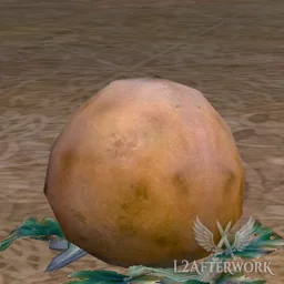 Low Quality Large Squash