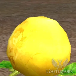 Emperor Squash
