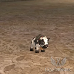 Improved Baby Buffalo