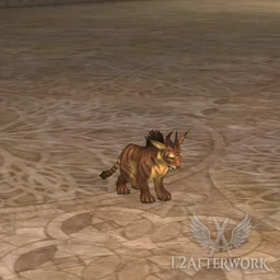 Improved Baby Cougar