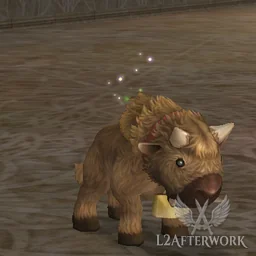 Young Buffalo