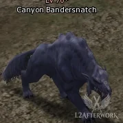 Canyon Bandersnatch