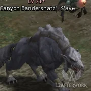 Canyon Bandersnatch Slave