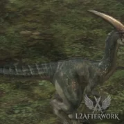 Velociraptor
