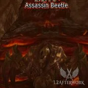 Assassin Beetle