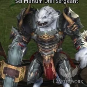 Sel Mahum Drill Sergeant