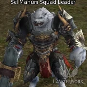 Sel Mahum Squad Leader