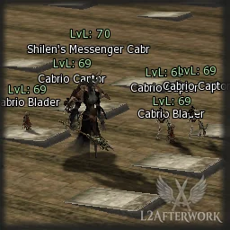 Shilen's Messenger Cabrio