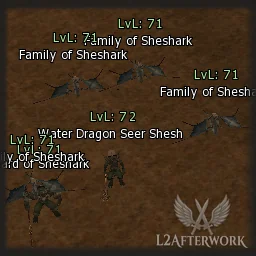 Water Dragon Seer Sheshark