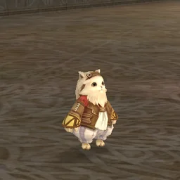 Roy the Cat