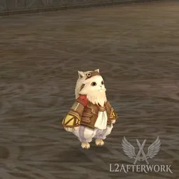 Buzz the Cat